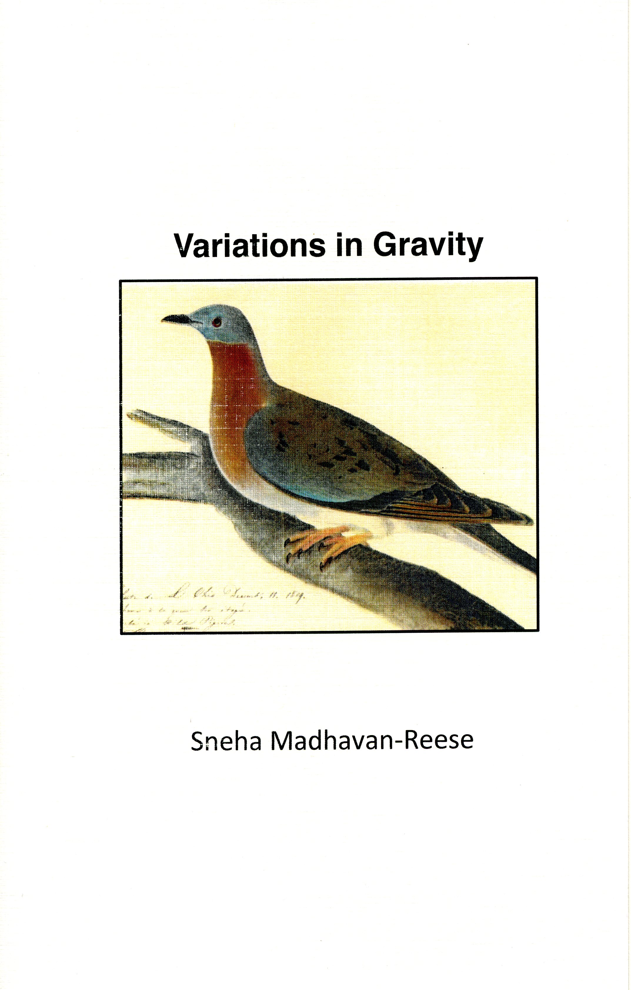 Variations in Gravity Cover